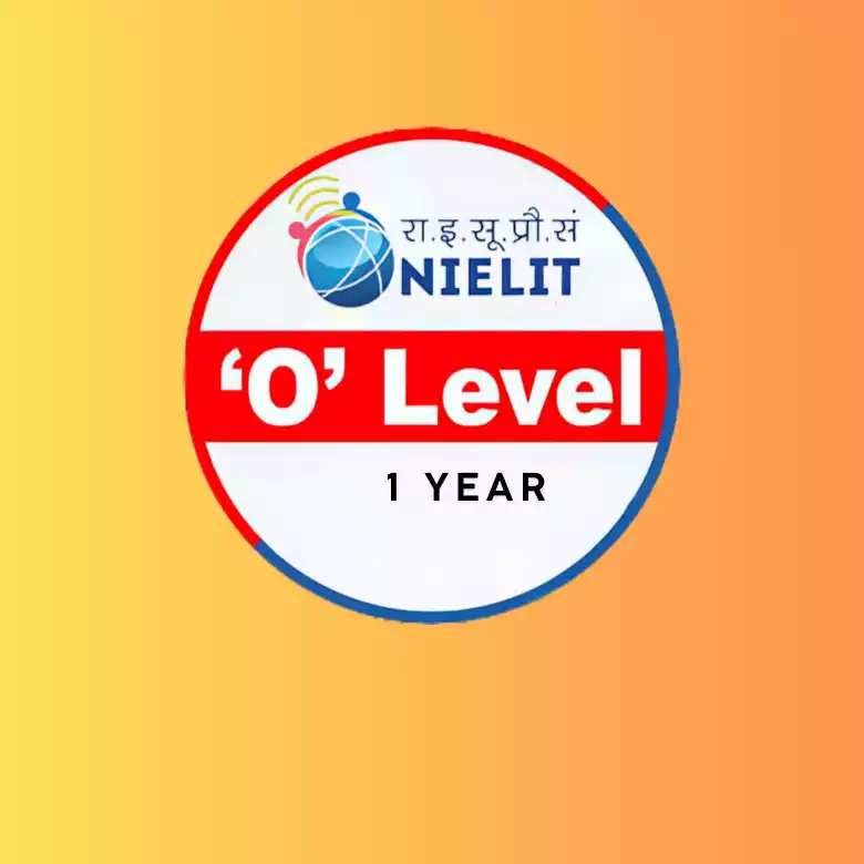 1 Year Olevel Program 1 year olevel program